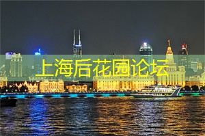 上海品茶网：在黄浦江旁体验传统与现代的融合